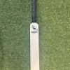Salamander Autograph Bat