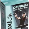 Fox Darwin 3 Star Table Tennis Balls 6 Pack