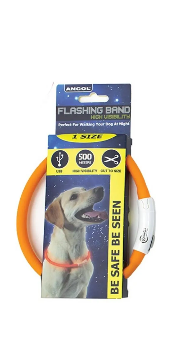 Bisley Collar Flashing LED Rechargeable USB - Image 2