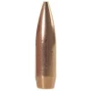 Nosler Custom Competition 250 Pack Projectiles 22 Cal 69gr HPBT Box 250