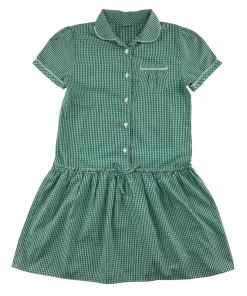 Green gingham drop waist school summer dress