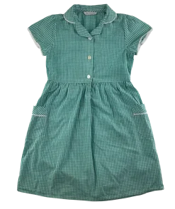 Mint gingham with buttons school summer dress