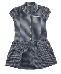 Navy gingham drop waist school summer dress