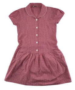 Red gingham drop waist school summer dress