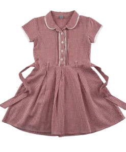 Red gingham with belt school summer dress